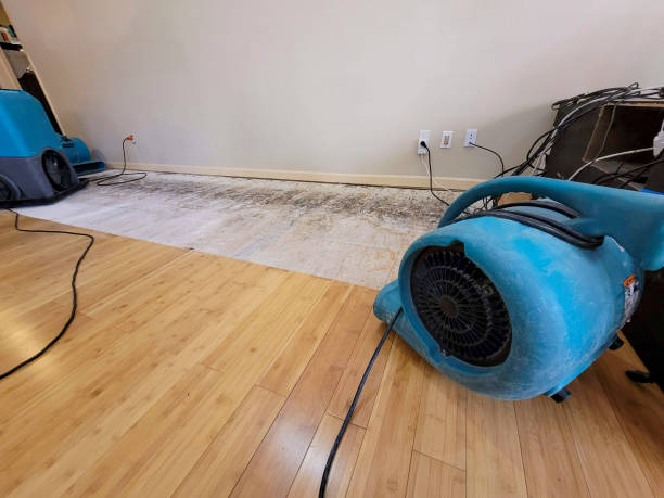 Professional Emergency Water Damage technician working in Hillsdale, WY
